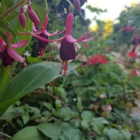 Holiday home Flowery